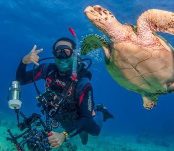 Scuba Dive Isla Mujeres