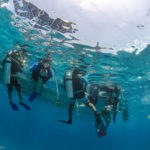 a group of people swimming in the water