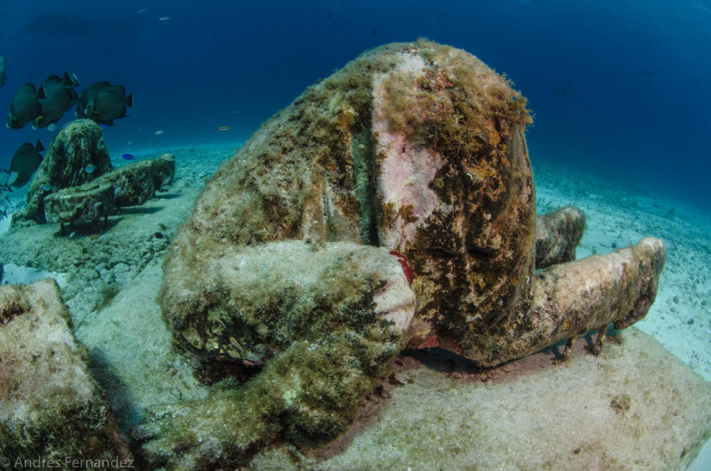 Gallery Squalo Adventures Dive shop Isla Mujeres Scuba Diving and