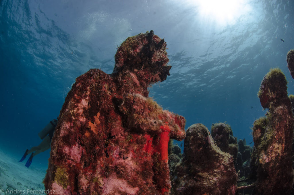 Gallery Squalo Adventures Dive shop Isla Mujeres Scuba Diving and