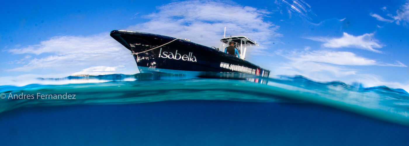 Quick snorkeling express