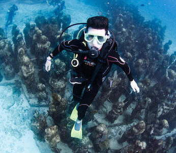 Underwater Museum and Reef Dive