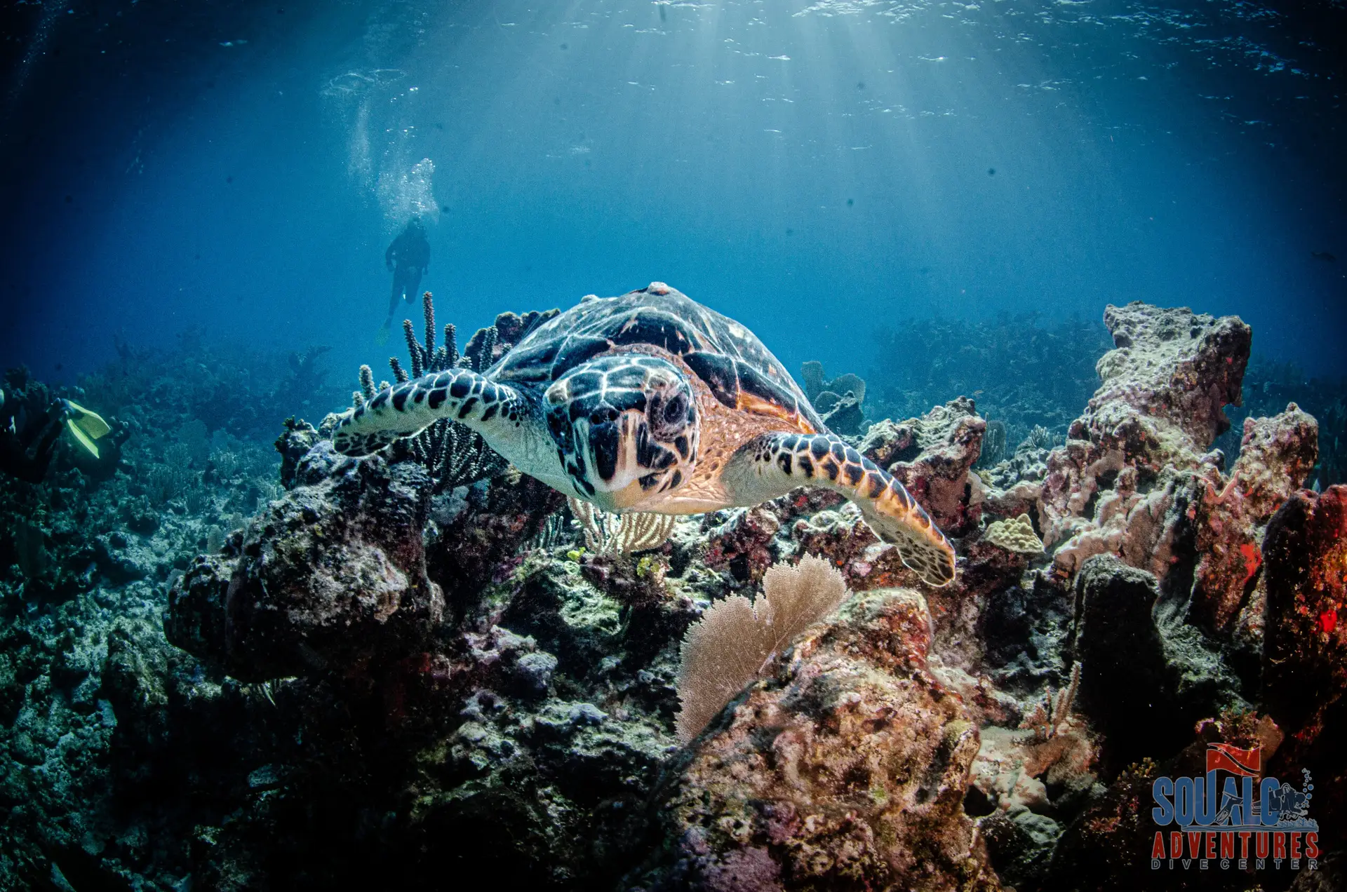 scuba diving isla mujeres