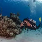 advanced open water